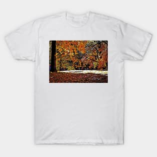 Trees In The Fall – Graphic 3 T-Shirt